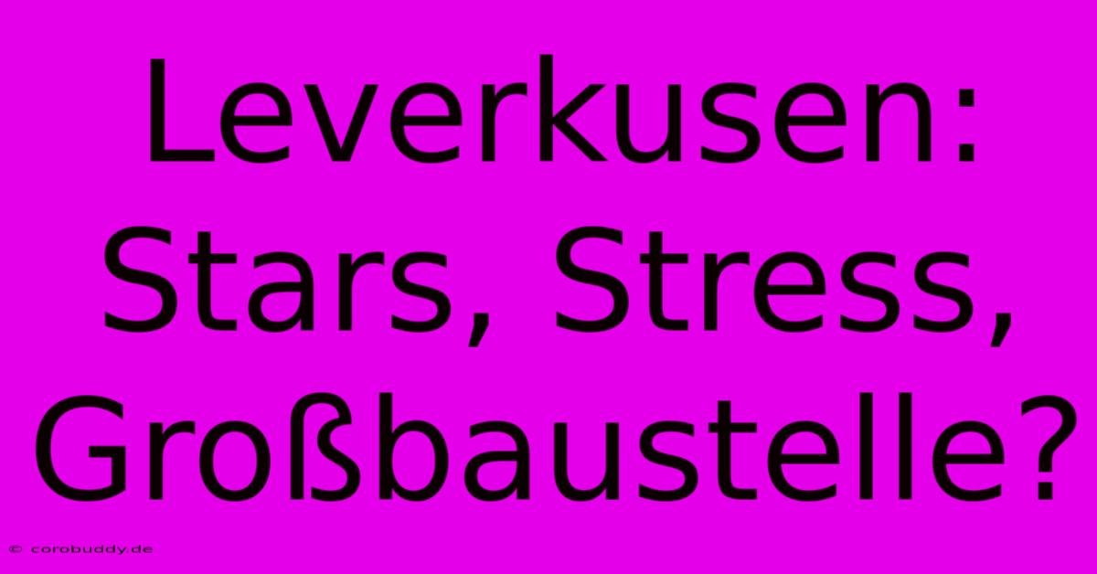 Leverkusen: Stars, Stress, Großbaustelle?