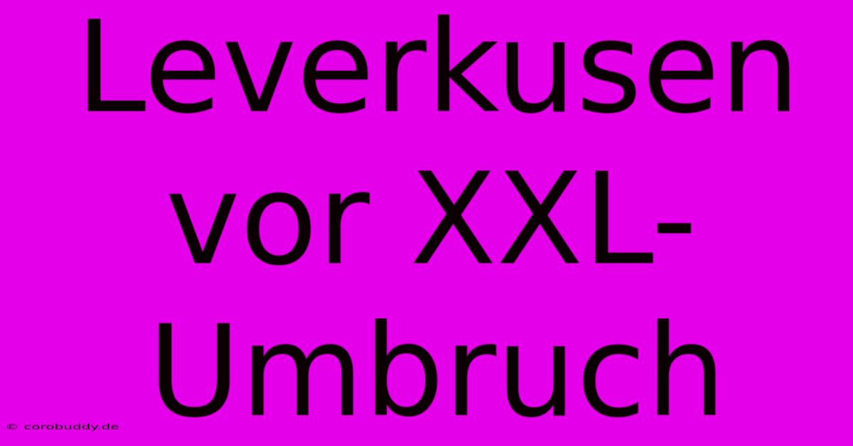 Leverkusen Vor XXL-Umbruch