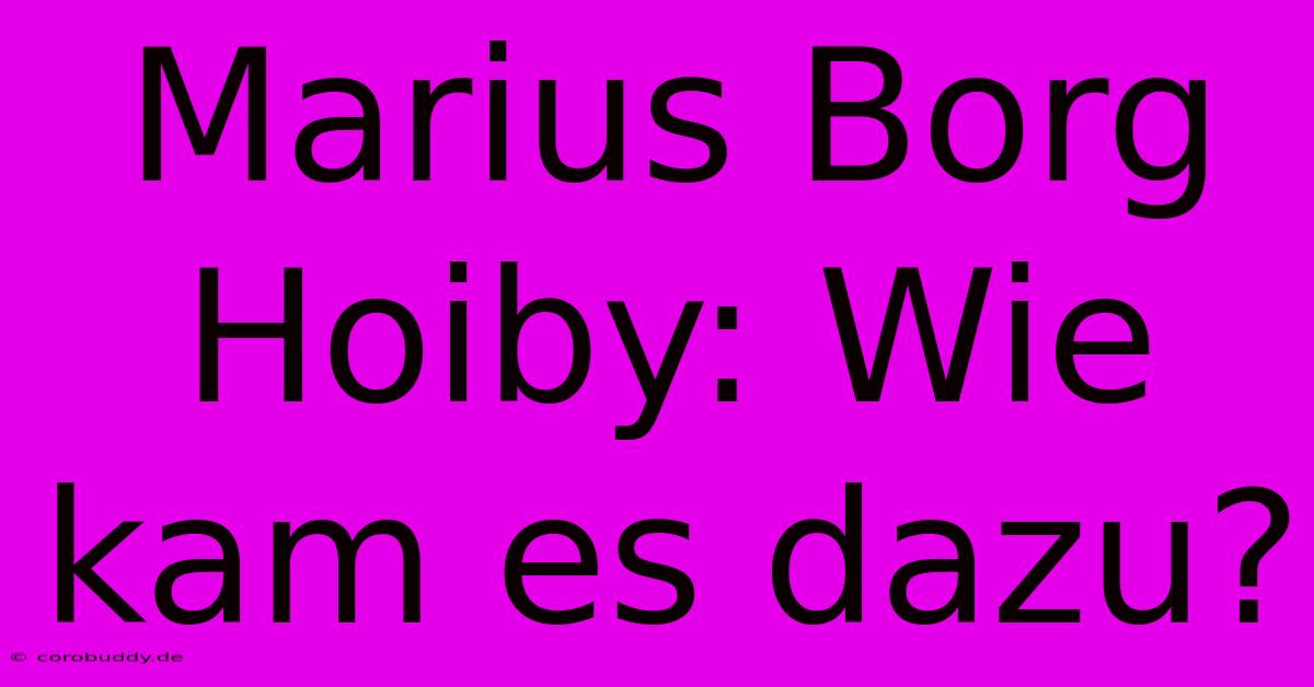 Marius Borg Hoiby: Wie Kam Es Dazu?