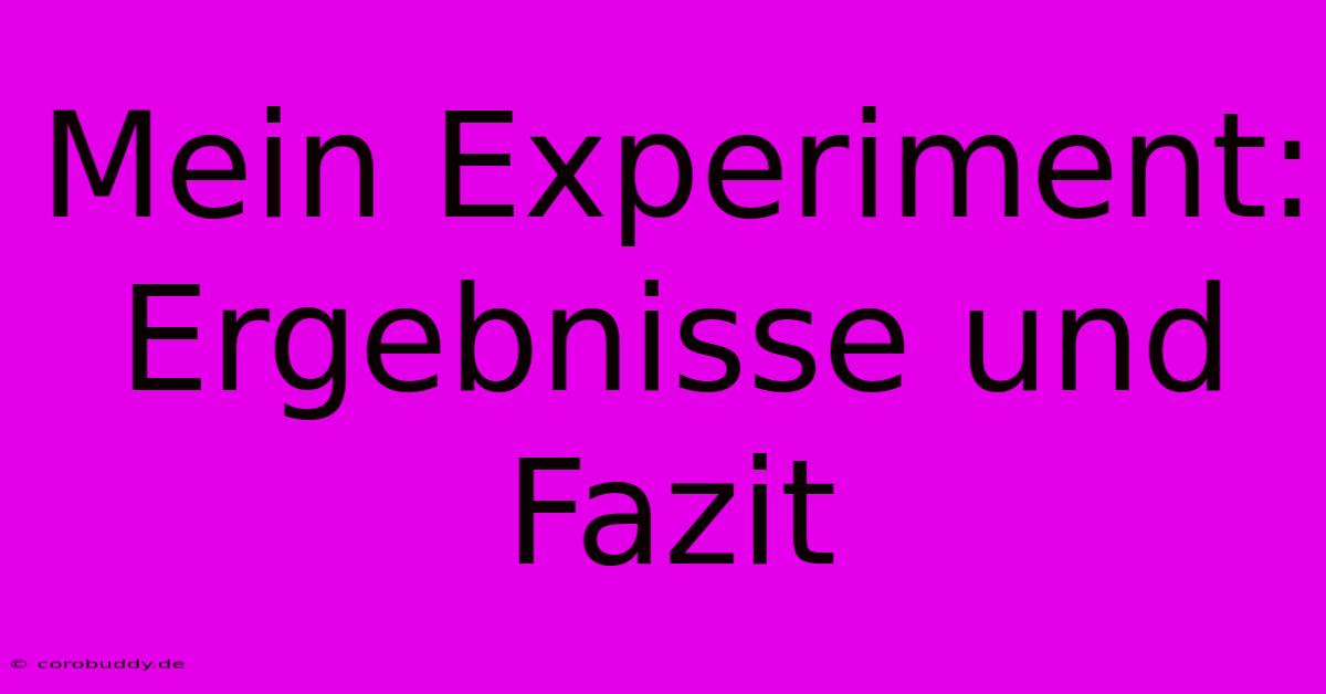 Mein Experiment: Ergebnisse Und Fazit