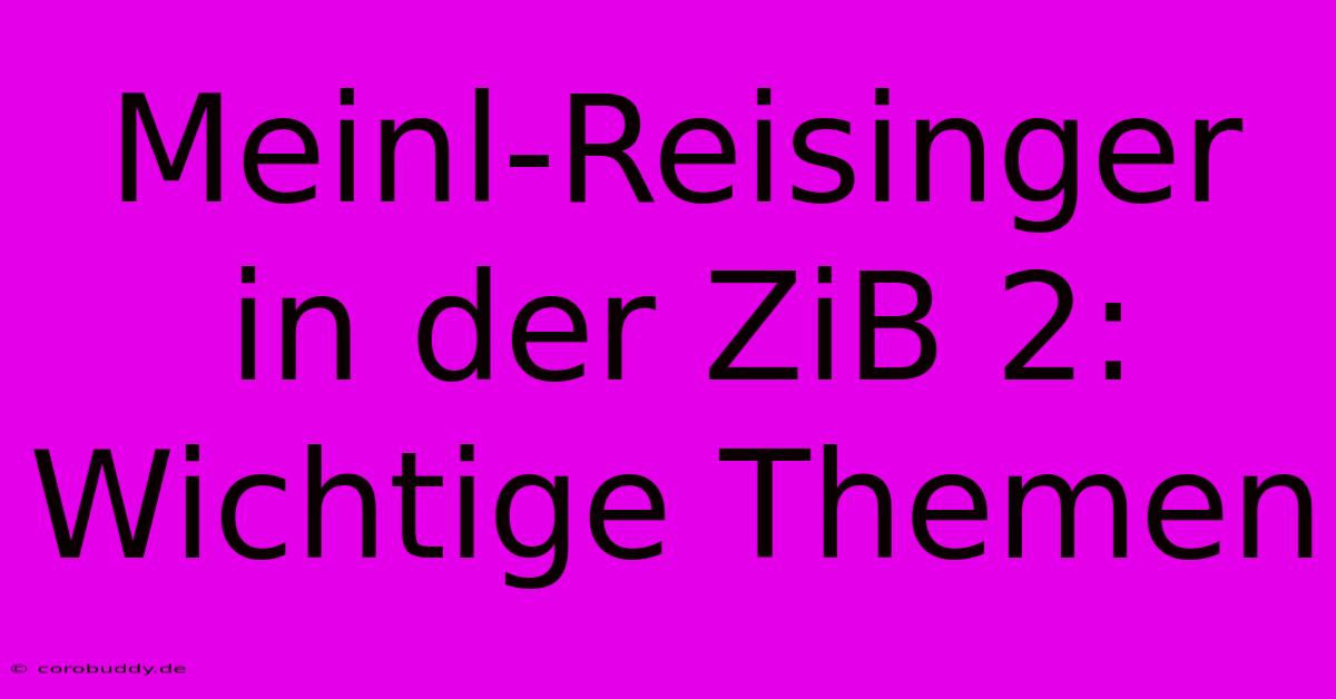 Meinl-Reisinger In Der ZiB 2:  Wichtige Themen