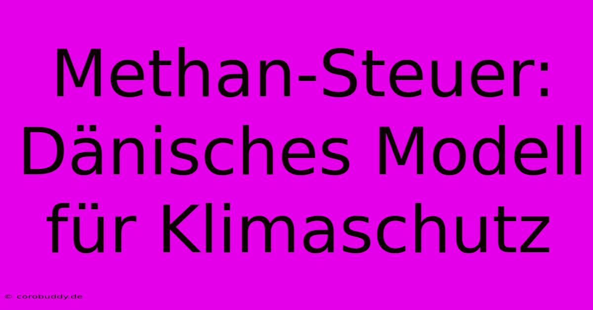 Methan-Steuer: Dänisches Modell Für Klimaschutz