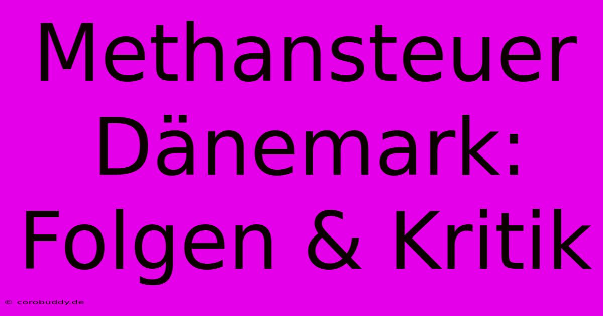 Methansteuer Dänemark: Folgen & Kritik