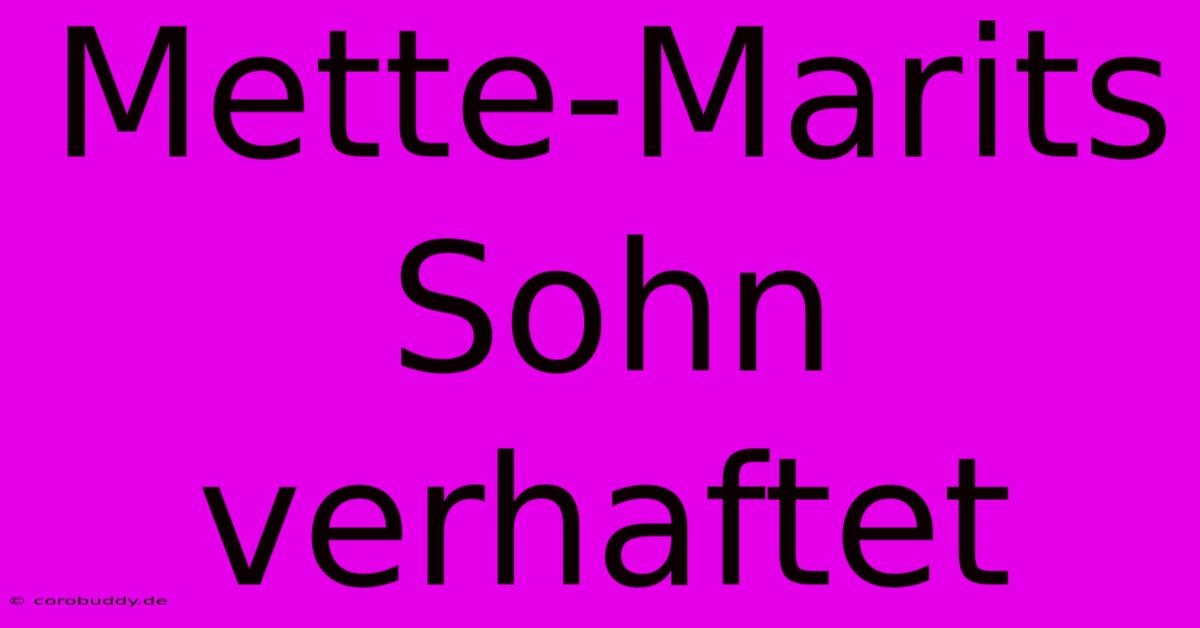 Mette-Marits Sohn Verhaftet