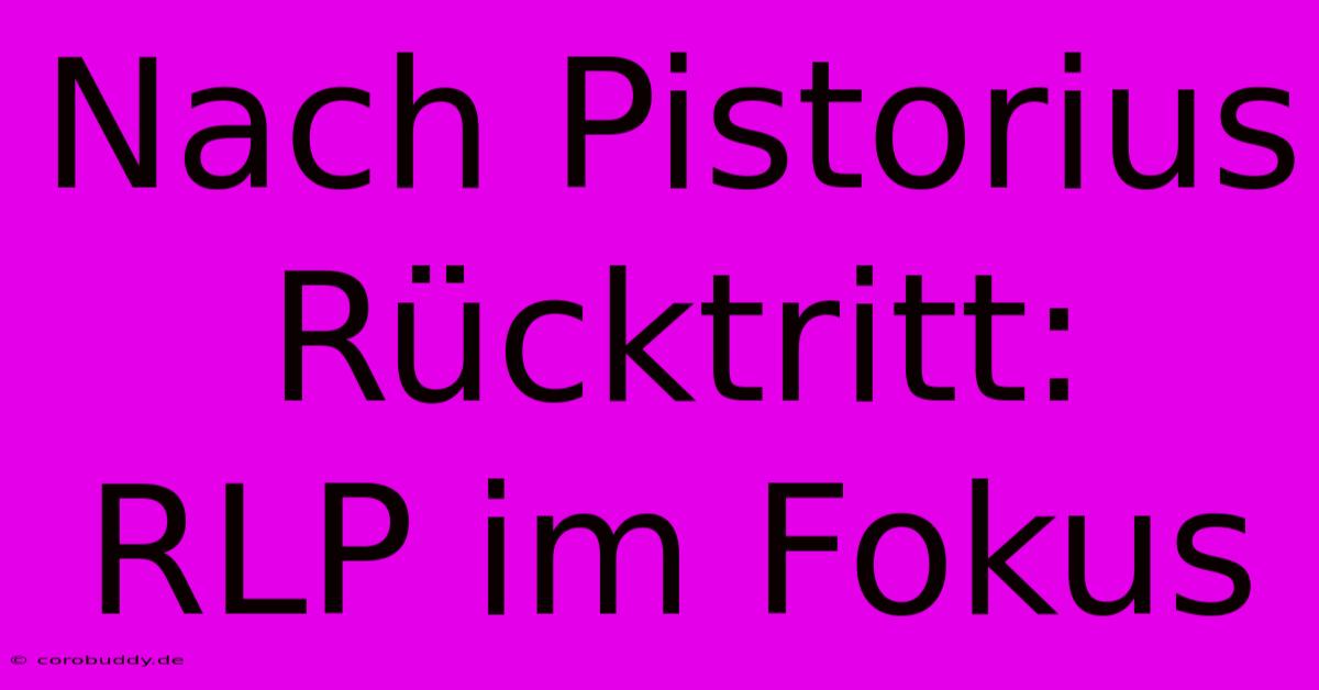 Nach Pistorius Rücktritt:  RLP Im Fokus