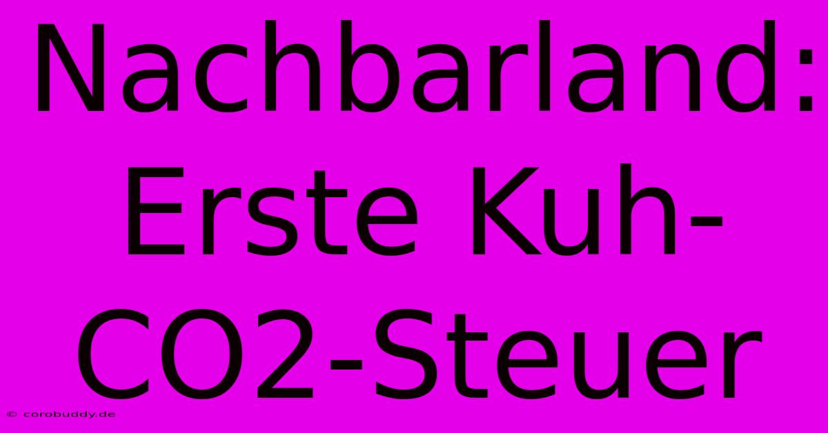 Nachbarland: Erste Kuh-CO2-Steuer