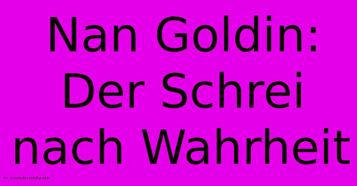 Nan Goldin: Der Schrei Nach Wahrheit