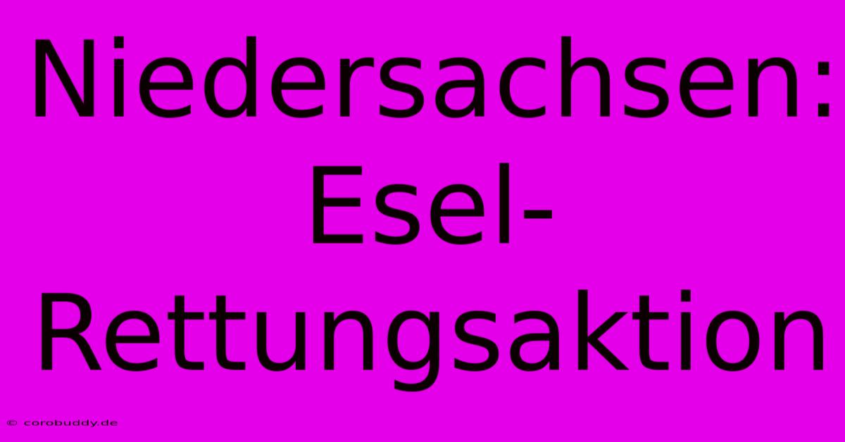 Niedersachsen: Esel-Rettungsaktion