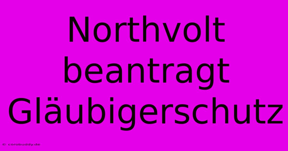 Northvolt Beantragt Gläubigerschutz