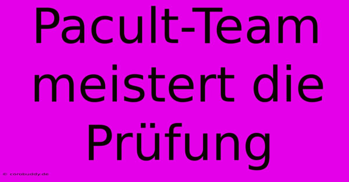 Pacult-Team Meistert Die Prüfung