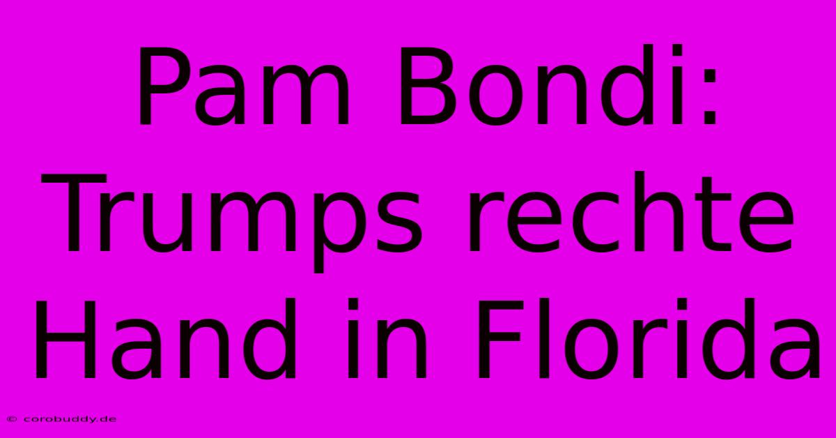 Pam Bondi: Trumps Rechte Hand In Florida