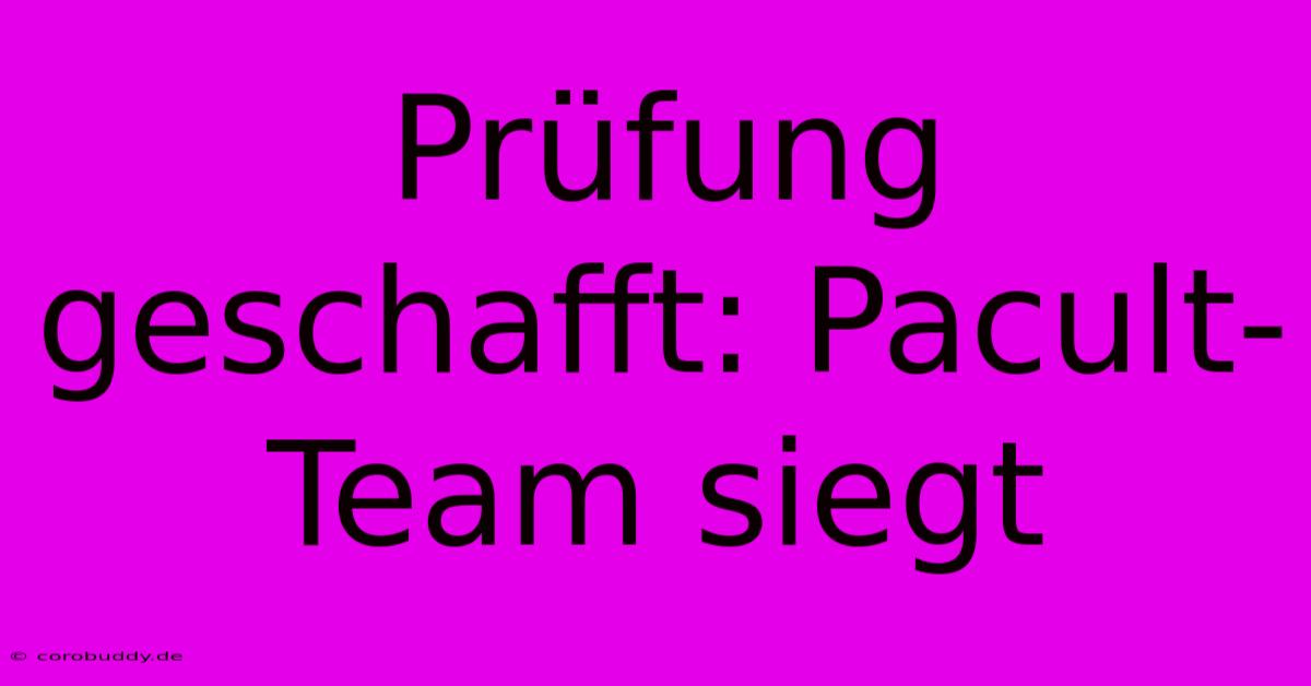 Prüfung Geschafft: Pacult-Team Siegt