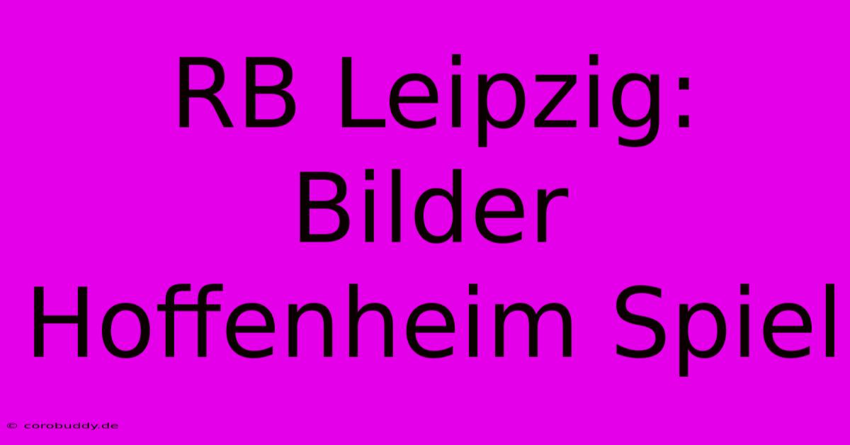 RB Leipzig: Bilder Hoffenheim Spiel