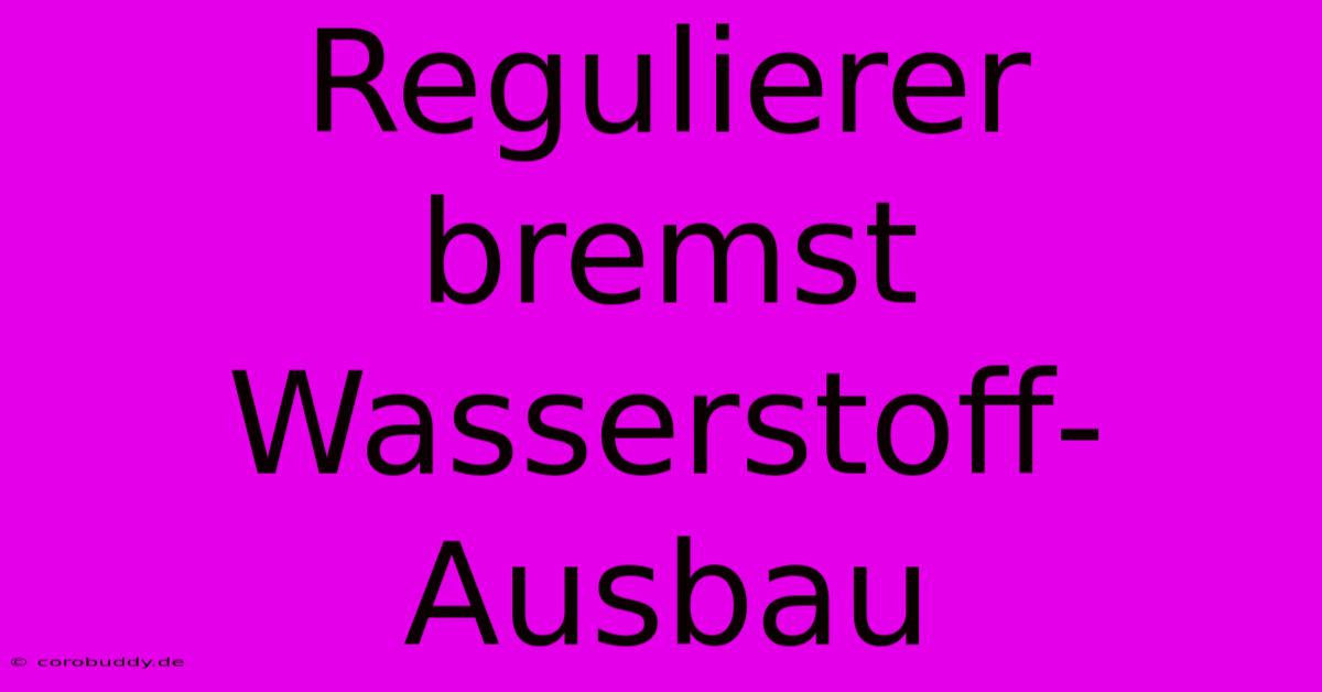 Regulierer Bremst Wasserstoff-Ausbau