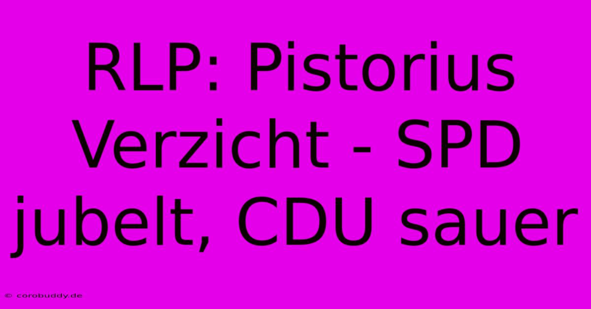 RLP: Pistorius Verzicht - SPD Jubelt, CDU Sauer