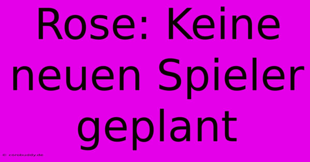 Rose: Keine Neuen Spieler Geplant