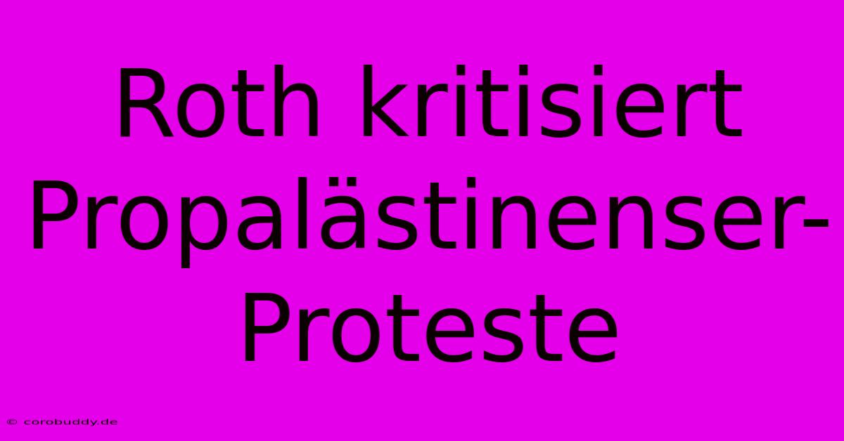 Roth Kritisiert Propalästinenser-Proteste