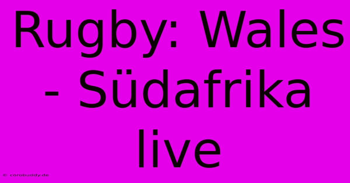 Rugby: Wales - Südafrika Live