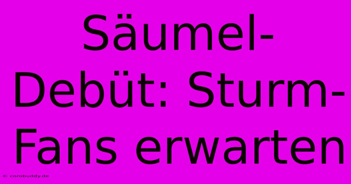 Säumel-Debüt: Sturm-Fans Erwarten