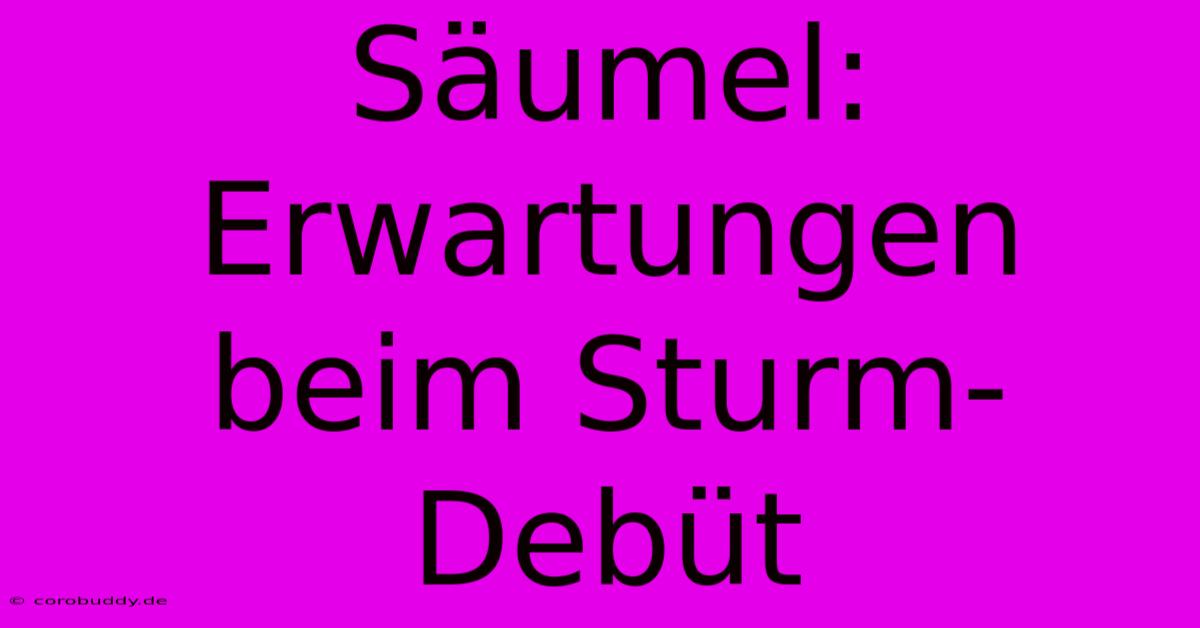 Säumel: Erwartungen Beim Sturm-Debüt