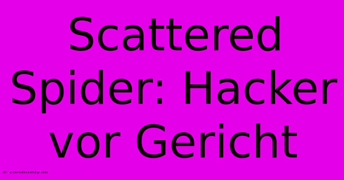 Scattered Spider: Hacker Vor Gericht