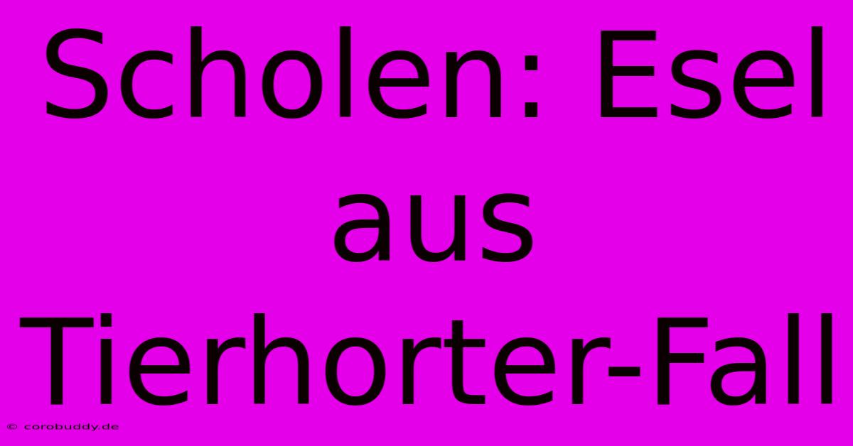 Scholen: Esel Aus Tierhorter-Fall