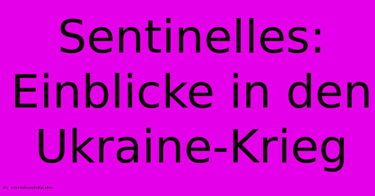 Sentinelles: Einblicke In Den Ukraine-Krieg