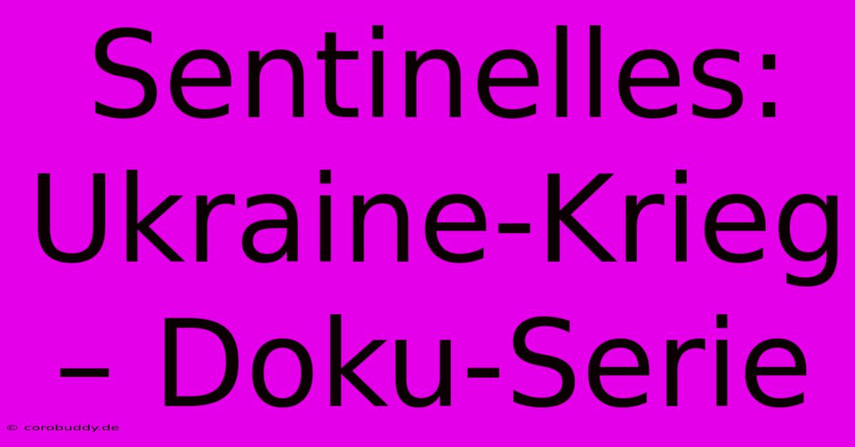 Sentinelles: Ukraine-Krieg – Doku-Serie