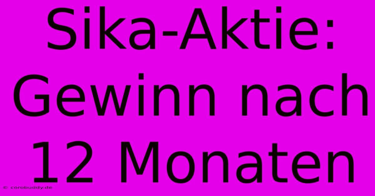 Sika-Aktie: Gewinn Nach 12 Monaten