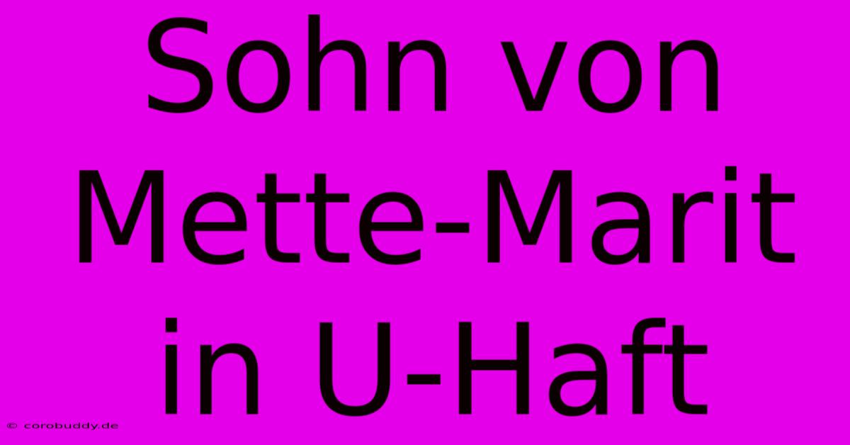 Sohn Von Mette-Marit In U-Haft