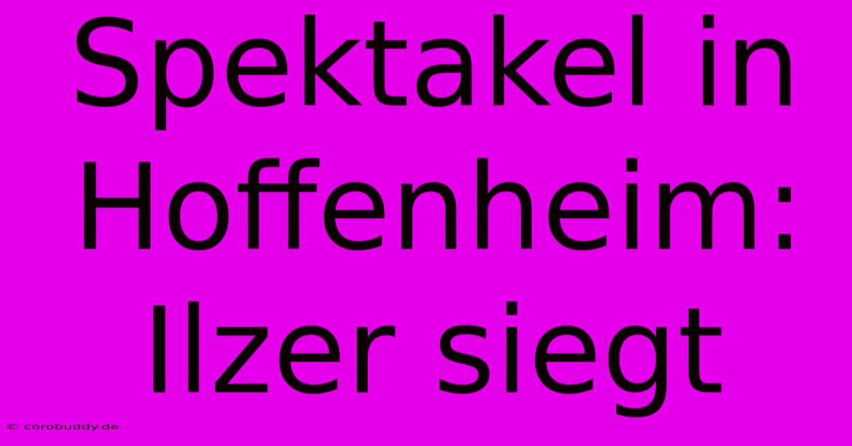 Spektakel In Hoffenheim: Ilzer Siegt