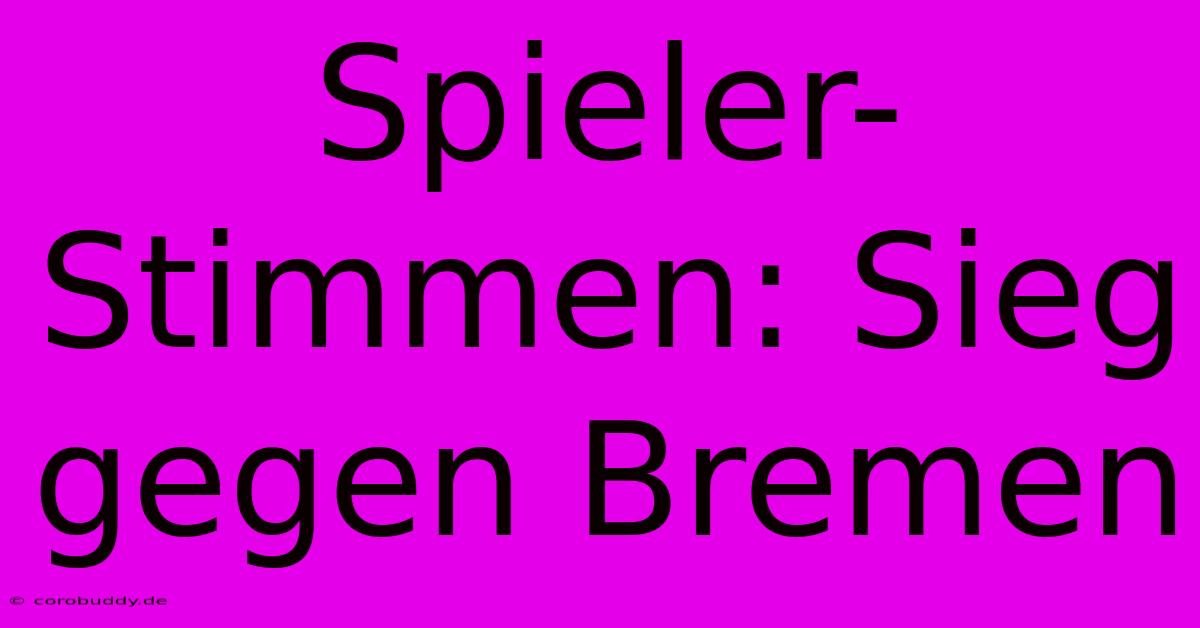 Spieler-Stimmen: Sieg Gegen Bremen