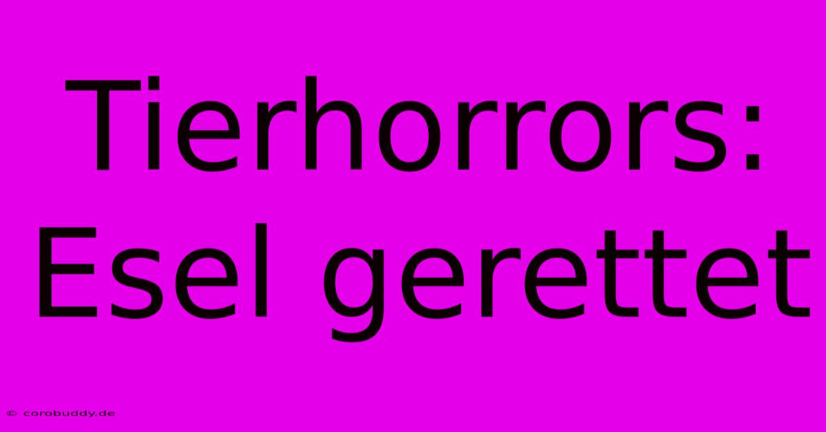 Tierhorrors: Esel Gerettet