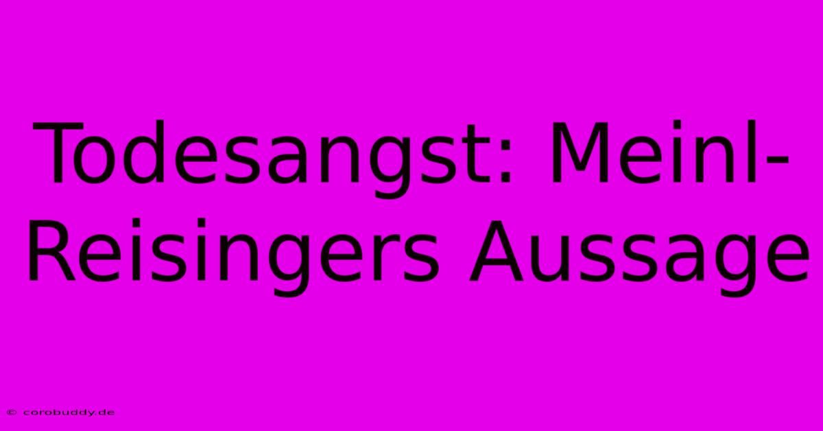 Todesangst: Meinl-Reisingers Aussage