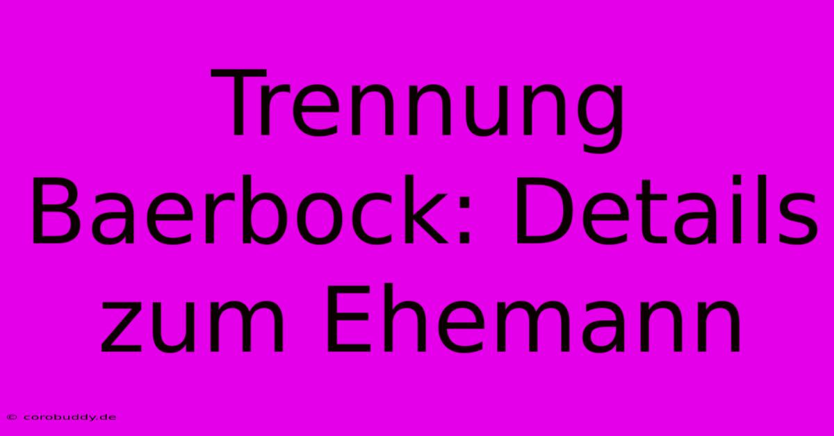 Trennung Baerbock: Details Zum Ehemann