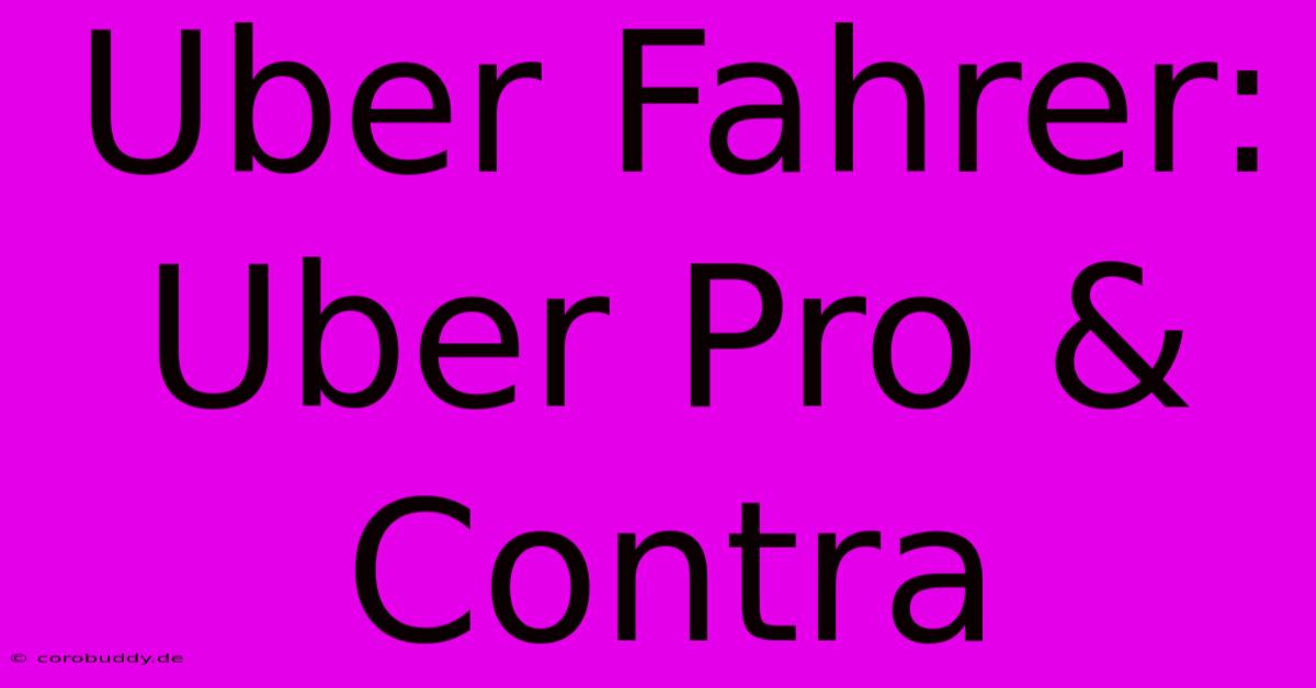 Uber Fahrer:  Uber Pro & Contra