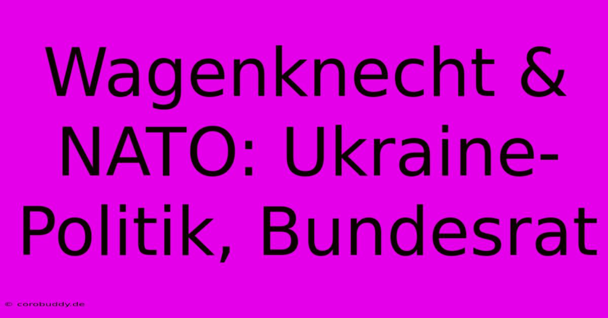 Wagenknecht & NATO: Ukraine-Politik, Bundesrat