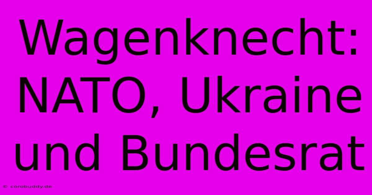 Wagenknecht: NATO, Ukraine Und Bundesrat