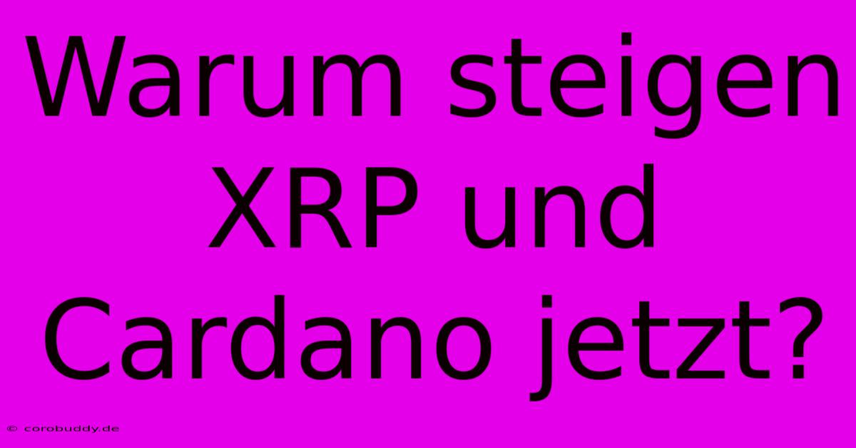 Warum Steigen XRP Und Cardano Jetzt?