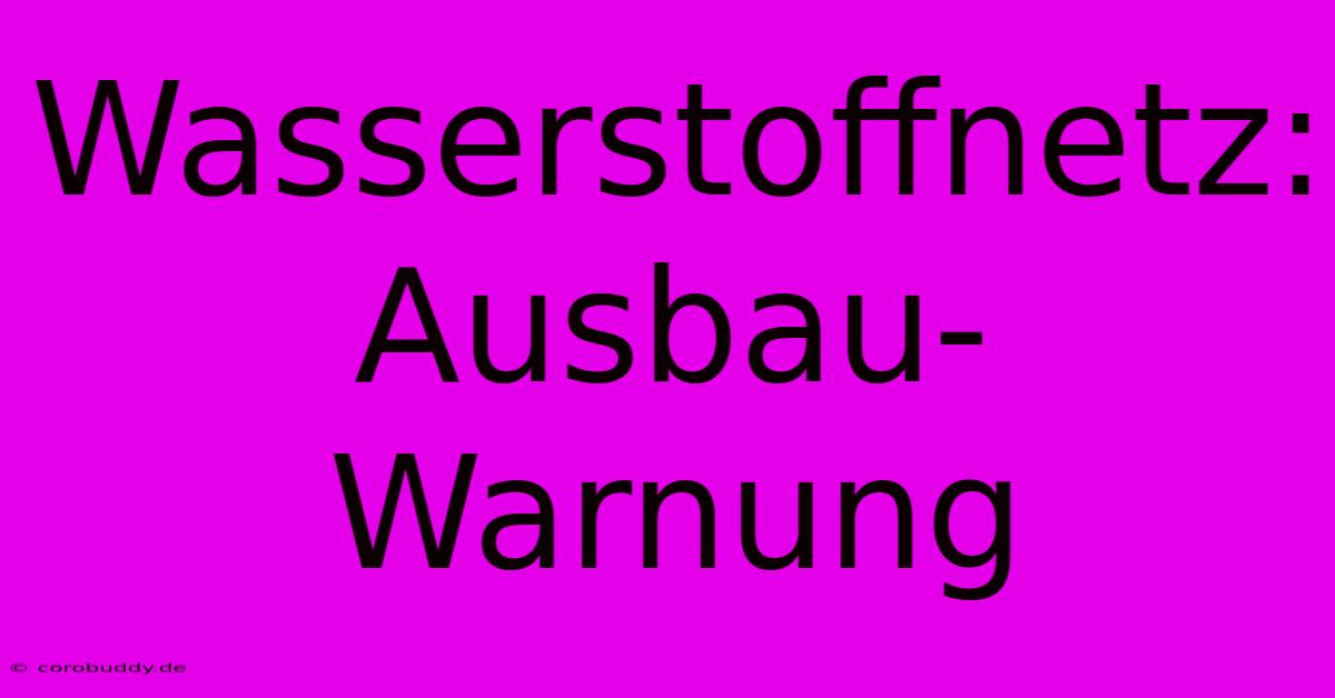 Wasserstoffnetz: Ausbau-Warnung