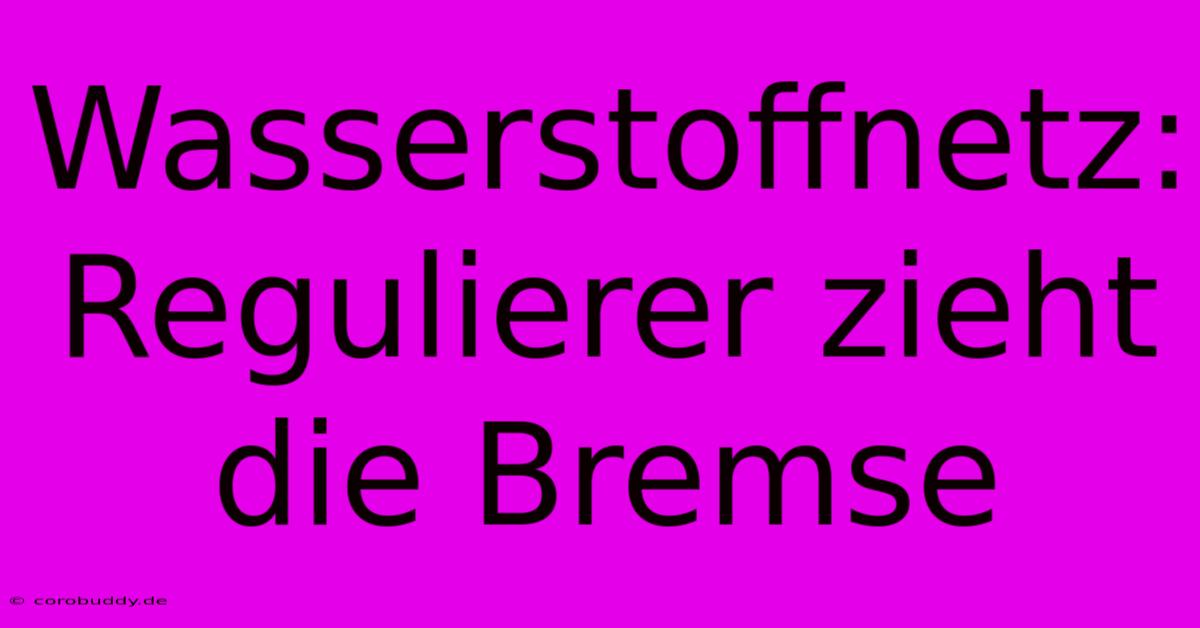 Wasserstoffnetz: Regulierer Zieht Die Bremse