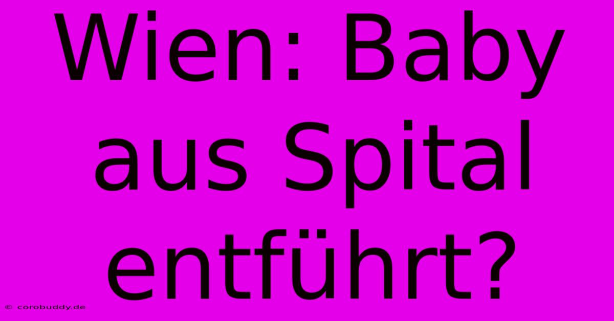 Wien: Baby Aus Spital Entführt?