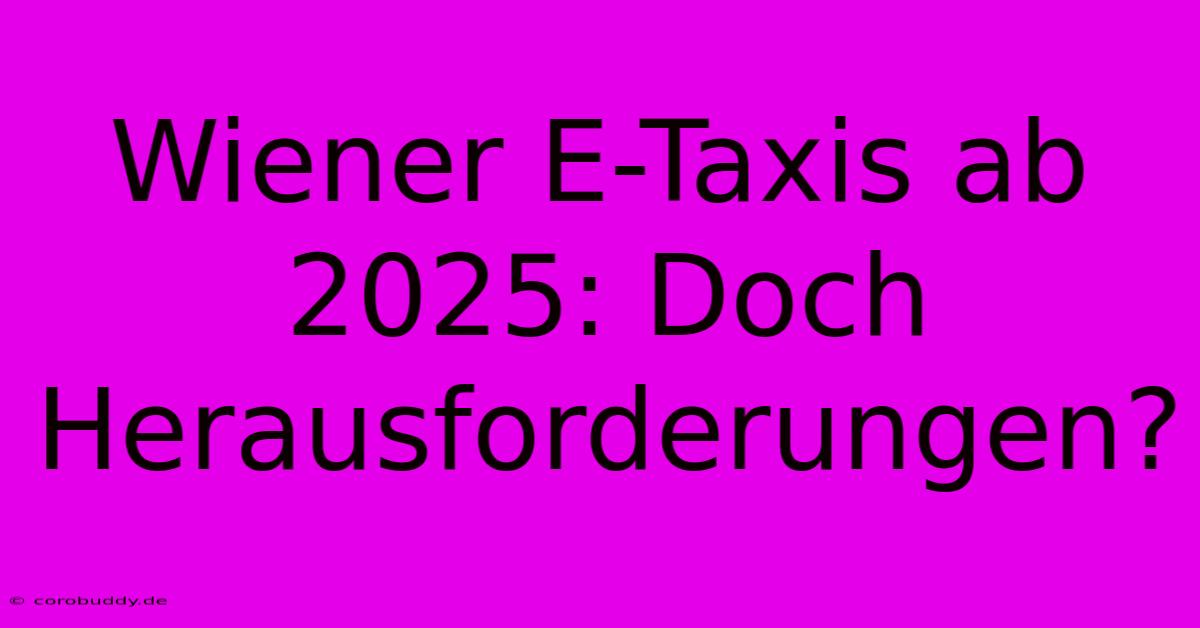 Wiener E-Taxis Ab 2025: Doch Herausforderungen?