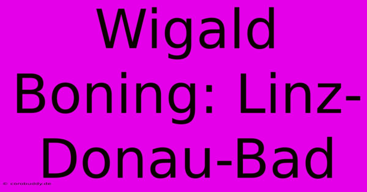 Wigald Boning: Linz-Donau-Bad