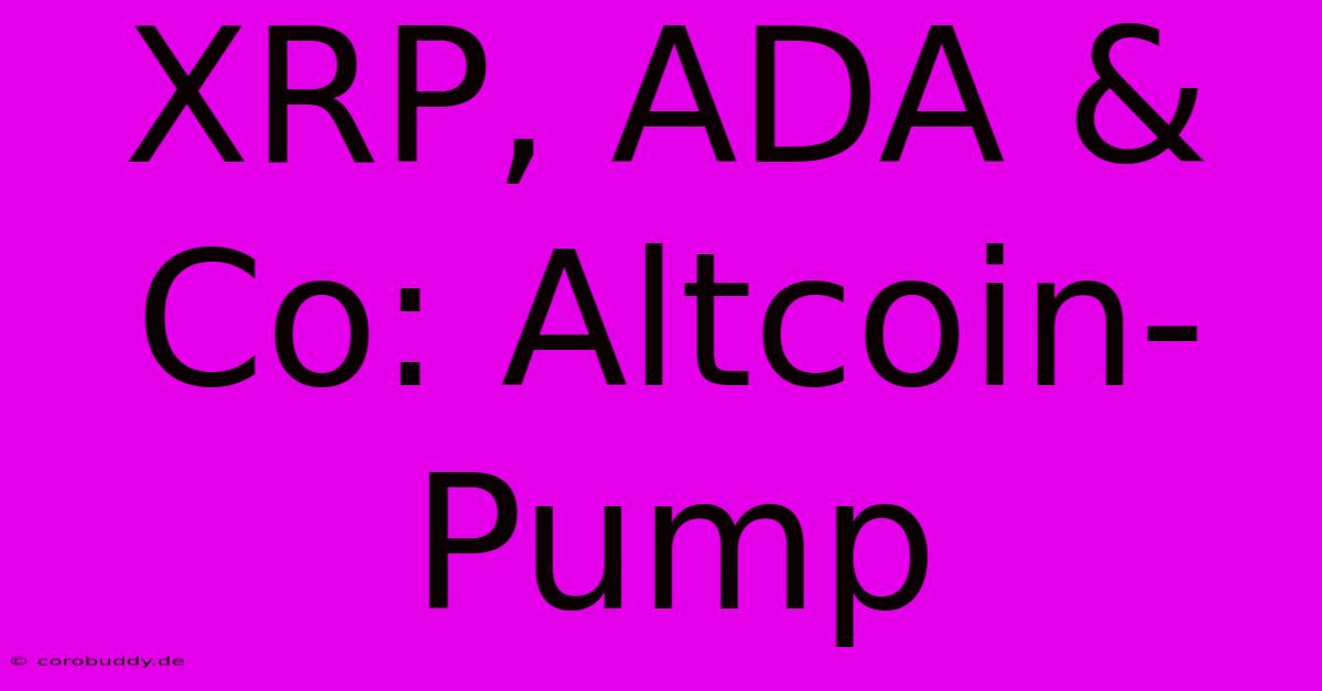 XRP, ADA & Co: Altcoin-Pump