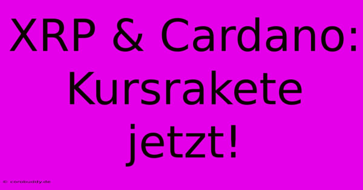 XRP & Cardano: Kursrakete Jetzt!